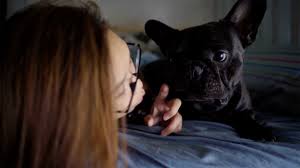 Dogs with stomach cancer also suffer from abdominal pain, which can cause behavioral changes in the dog. My Dog Has Cancer What Do I Need To Know