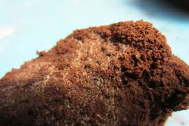 We did not find results for: Can You Use Coffee Grounds To Fertilize Indoor Plants Smart Garden Guide