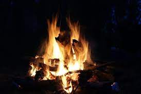 Free Camping Australia Locate And Prepare For The Perfect Camping Trip Free Camping Campsite Camping Fun