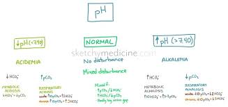 Acid Base Alkalosis Vs Acidosis Metabolic Vs Respiratory