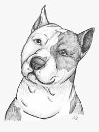 Pitbull Drawing Eye Draw A Staffordshire Bull Terrier Hd Png Download Transparent Png Image Pngitem The drawing made easy series introduces budding artists to the fundamentals of pencil drawing. pitbull drawing eye draw a