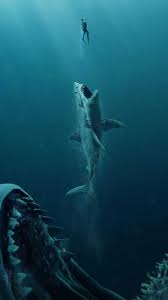 At 19:01 19.07.2021 our collection of wallpapers includes 65 of the best free cool shark wallpapers. Iphone Shark Wallpaper Kolpaper Awesome Free Hd Wallpapers