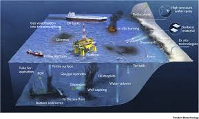 See full list on wikihow.com Biotechnologies For Marine Oil Spill Cleanup Indissoluble Ties With Microorganisms Trends In Biotechnology