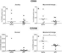 Researchers continue to study ways to prevent preeclampsia, but so far, no clear strategies have emerged. Plos One Pregnancy And Preeclampsia Affect Monocyte Subsets In Humans And Rats