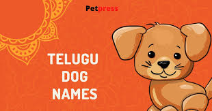 You can browse, search funpetnames.com offers many cute pet names to choose from when naming your own pet. 80 Best Telugu Dog Names Popular Male Female Telugu Dog Names Petpress