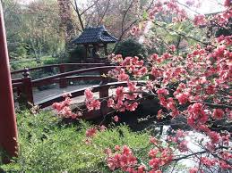 Eintritt frei link zur seite Eghn Carl Duisberg Park Und Japanischer Garten
