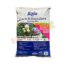 Best cactus soil media #how to grow cactus water your cactus as a normal houseplant during the summer months and. Cacti Succulent Potting Mix 7l