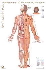 Traditional Chinese Medicine Acupoint Chart Back View Poster For Same At Link Below Acupressure Traditional Chinese Medicine Chinese Medicine