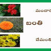 Latest collection of modern and new indian baby boy names, starting with p with meanings, for newborn babies. 1