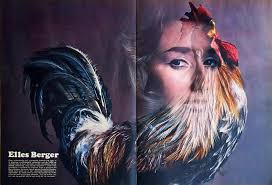 HET verzameloord: TV-OMROEPSTER 1-7