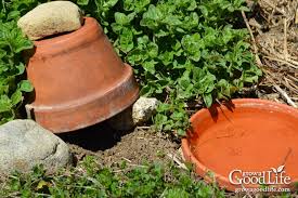 The course is near the mountains of the mushroom kingdom and may even be directly on them. How To Attract Frogs And Toads To Your Garden