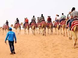 This tour includes top desert safari guide activities, like dune bashing, camel riding, sandboarding, quad biking, falcon photography, and horse riding. Dubai Desert Safari Ranked World S Top Tourism Experience Uae Gulf News