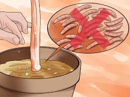 We did not find results for: How To Use Coffee Grounds In Your Garden 9 Steps With Pictures