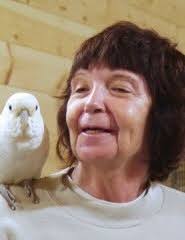 Obituary information for Donna J. Shugrue