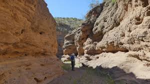 Check spelling or type a new query. Owl Creek Campground Gila Box Riparian National Conservation Area