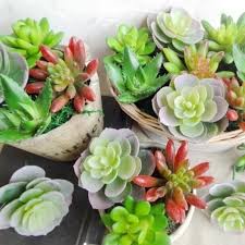The Holiday Party Season Is Officially Upon Us So When Should You Bring Flowers When Should You Skip It Givelov In 2020 Holiday Parties Holiday Party Season Party