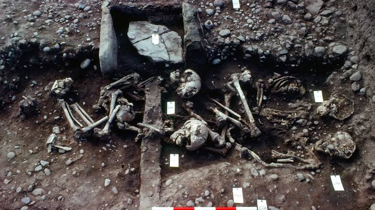 Les ossements de 300 guerriers vikings découverts en Angleterre | National  Geographic | National Geographic