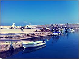 Port De Tipaza Algerie Tourisme Alger Voyage A Travers Le Temps
