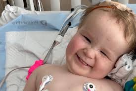 Fundraiser by Deana Fisher : Waylon's Fight Against a Brain Tumor  Medulloblastoma