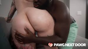 TW Pornstars - 3 pic. PAWGED. Twitter. PAWG Goddess Haylee @SexyGamerDoll  makes her debut PAWG. 12:28 PM - 10 Oct 2022