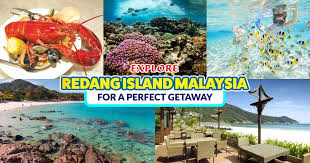 Getting to redang island (locally and commonly known as pulau redang) doesn't have to be a stressful experience. Explore Redang Island Malaysia For A Perfect Getaway