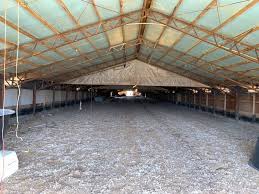 Not rated yet this barn was built around 1906 and measures 36 by 50 ft. Used Metal Buildings For Sale Chicken House Materials Pea Ridge Arkansas Home Facebook