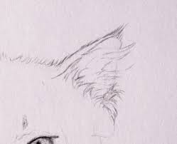 Sing along and guess animals by their ears. Furry Cat Ears Drawing