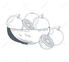 Orangen Auf Schussel Hand Zeichnen Symbol Vektor Illustration Grafik Design Lizenzfrei Nutzbare Vektorgrafiken Clip Arts Illustrationen Image 92421501
