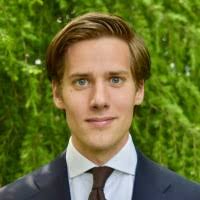 1200+ "Palmen" profiles