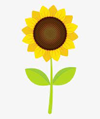 Pin By Terri On Clipart Sunflower Clipart Free Transparent Png Download Pngkey