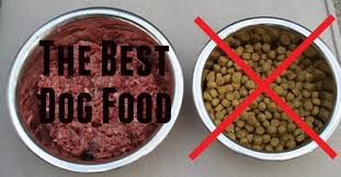 Here's our top pick for the best pitbull dog food: Can Pitbulls Eat Raw Meat Diet Best Dog Food Recipes To Feed