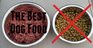 A quick comparison of our favorites. Can Pitbulls Eat Raw Meat Diet Best Dog Food Recipes To Feed