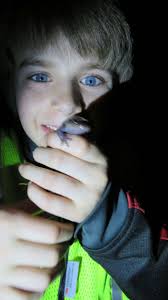 Salamander Crossing Brigade Field Reports for 2017