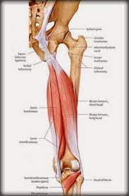 Give these exercises a go if they aren't in your training routine already! Maha Yoga Yoga Butt