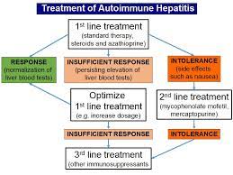 Could any of my medications or habits are there any brochures or other printed material that i can take with me? Lay Summary Of The Ern Rare Liver Position Paper Second Line And Third Line Therapy For Autoimmune Hepatitis Rare Liver Eu