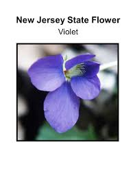 We did not find results for: Play Go Pick The Same As Go Fish The Object Of The Game Is To Match A Pair Of State Flowers Ppt Download