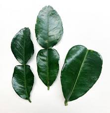 View top rated bay leaf in malay recipes with ratings and reviews. A List Of Common Indonesian Herbs Spices Seasonings Cook Me Indonesian