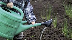 Donate gardening supplies thunder bay. Sharing Backyard Gardens Alive Magazine