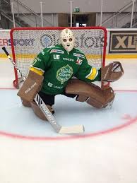 If björklöven (often simply referred to as björklöven or löven) is a swedish professional ice hockey club in umeå, västerbotten, in northern sweden. Swedish Elite League If Bjorkloven Google Search