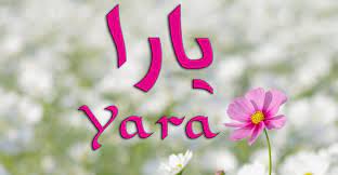 معنى اسم يارا وما حكم الاسم في الاسلام و صفات حاملة الاسم name wallpaper name pictures yara