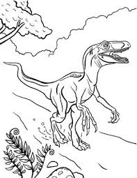 All the images that appear here are the pictures we collect from various media on the internet. Velociraptor Coloring Page