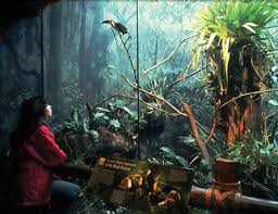 Portico Group Zoos Tropical Rainforest Exhibit Woodland Park Zoo Zoo Architecture Rainforest