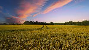 When is the Best Time of Year to Sell Land? 3 Factors to Consider |  Altaterra Realty And Auction LLC