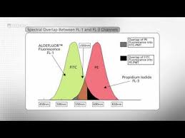 The Basic Facs About Aldefluor A Guide To Successful Flow