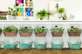 Let me take a stab at your underlying question which i think is wondering about the broader culture of the triangle area (raleigh, durham, chapel hill). Architecture Indoor Vegetable Gardening Backyard Aquaponics Aquaponics Diy