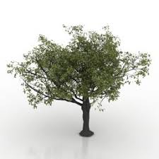 3d Trees 02 Apple Collection Apple Tree 4 3d Model 3ds For Exterior 3d Visualization 3d Tree 3d Visualization Apple Tree