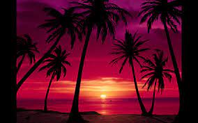 Download hd sunset wallpapers best collection. Pin By Lydiafrisbee On Inspiration Sunset Wallpaper Beach Scenes Beach Pictures