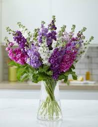 Along with the seasonal sales at m&s, you can also visit our voucher site at the evening standard and discover marks & spencer discount codes for flowers & plants, made to. Flowers Plants Online Free Uk Next Day Delivery M S