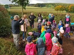 Rhoder Kinder Pflanzen Baum Fur Den Klimaschutz Diemelstadt