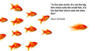 A great game begins with two different fishes. Be Agile In Today S Economy The Fast Fish Eats The Slow Fish